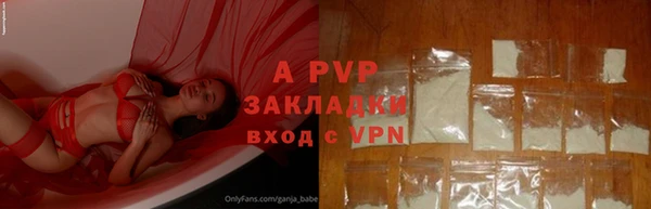 ГАЛЛЮЦИНОГЕННЫЕ ГРИБЫ Новозыбков
