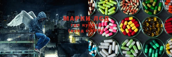 не бодяженный Алзамай