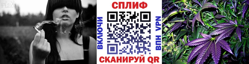 Канабис AK-47 Удомля